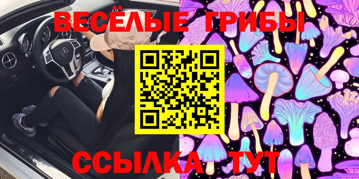 Псилоцибиновые грибы Psilocybe Александров
