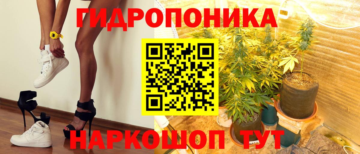 Каннабис планчик  Марихуана семена  Вход с VPN  Александров 